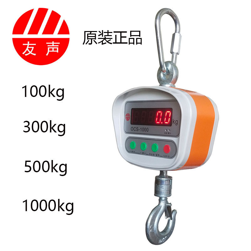 友声100kg300kg500kg公斤1t吨吊秤电子吊钩秤吊磅小吊秤家用