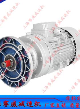 WB65-LD-11-60W微型行星无极摆线减速机立式摆线针轮减速器