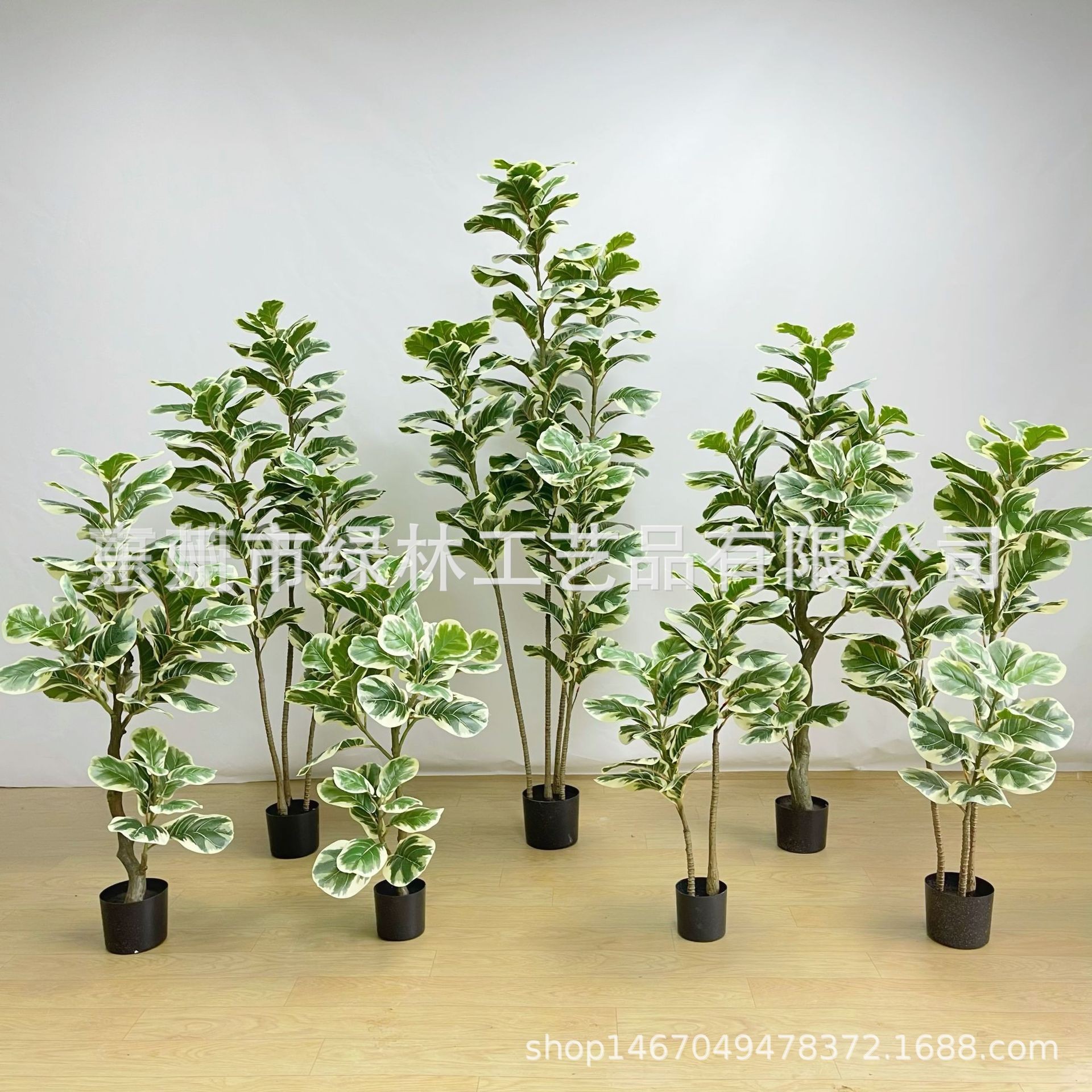 白边琴叶榕仿真盆栽人造橡皮树布叶葫芦树盆景仿真树绿植琴叶榕树