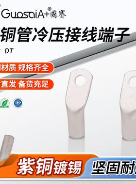 铜线耳铜鼻子DT35-8电缆金属电机专用接线端子冷压端子紫铜管端子