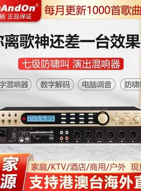 InAndOn音王668前级效果器专业k歌防啸叫反馈抑制器混响音频处理