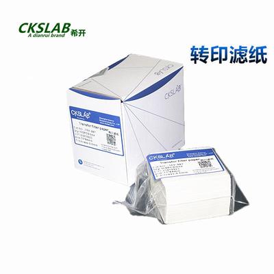点睿CKSLAB湿转转印滤纸转膜蛋白转印WesternblotTFP-03B