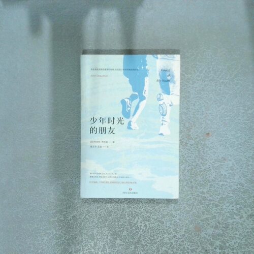 二手实拍少年时光的朋友(印)阿米特·乔杜里(Amit Chaudhuri)9787541151248四川文艺出版社
