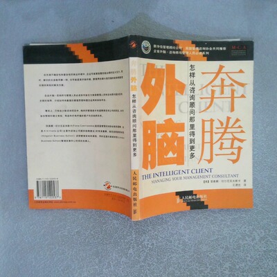 正版二手实拍奔腾外脑：怎样从咨询顾问那里得到更多(英)切尔尼亚夫斯卡 王德忠9787115122537人民邮电出版社