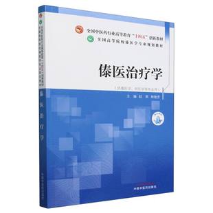 傣医治疗学——全国高等院校傣医学专业规划教材