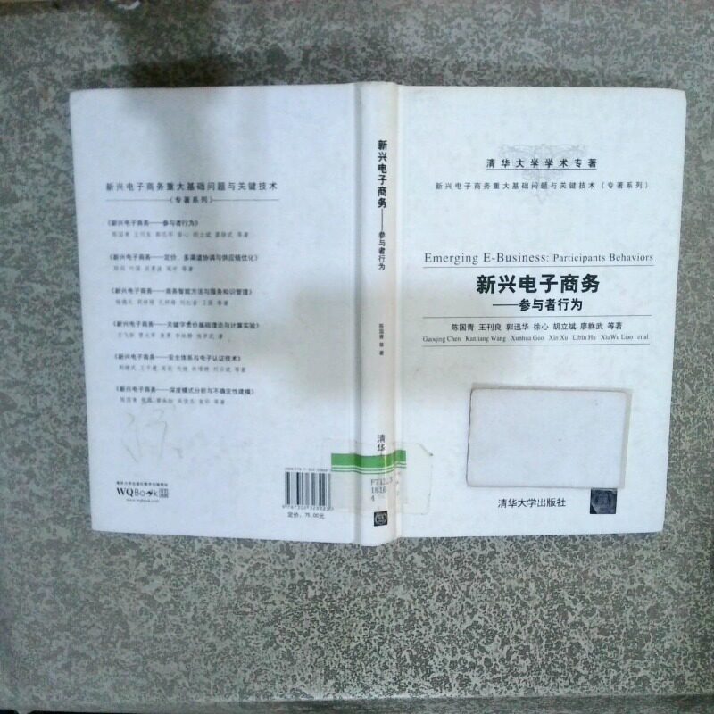 正版二手实拍新兴电子商务：参与者行为/清华大学学术专著&middot;新兴电子商务重大基础问题与关键技术专著系列陈国青　等著