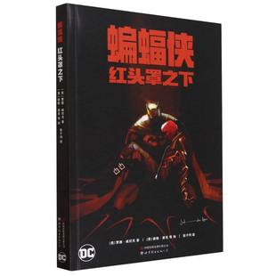 蝙蝠侠:红头罩之下