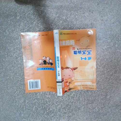 正版二手实拍全能妈妈育聪明宝宝16岁高振敏9787810602907第二军医大学出版社