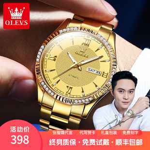 商务防水手表张智霖代言欧利时品牌全自动纯机械表双历土豪金潮流
