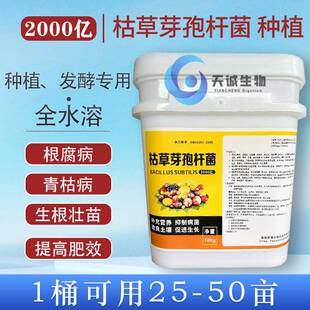 供应农业林业枯草芽孢杆菌改良土壤农用地枯草芽孢杆菌