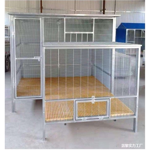 鸽子笼家用大型鸽笼白鸽养殖鸽舍配对铁笼巢拼装种鸽繁殖大号鸽舍