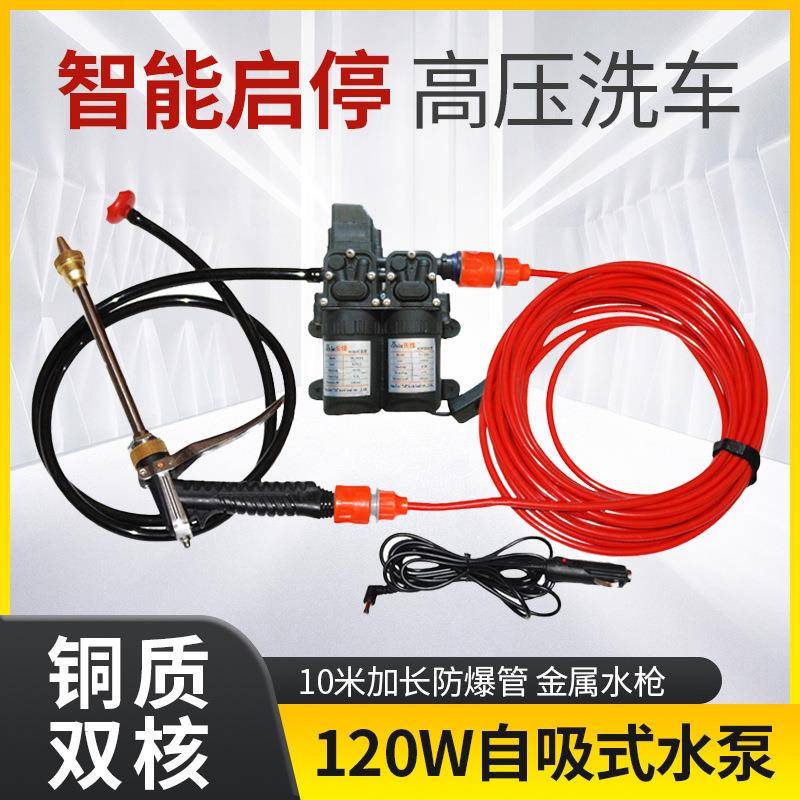 洗车高压家用220v洗车机洗车水泵12v车载洗车器便携洗车水抢