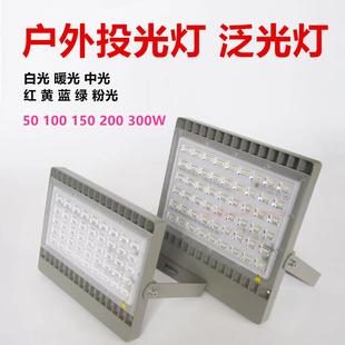 户外防水LED投光灯F10铸铝足瓦照树灯100W150W200W亮化树木景观灯