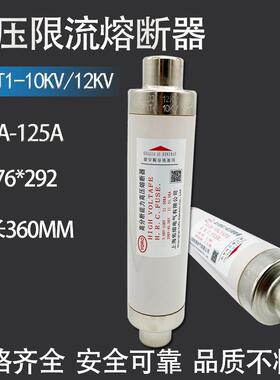 变压器保护用高压限流熔断器SFLDJ10KV12KVXRNT-80A100A125A