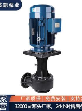 超大流量槽外立式泵JKD-100SK-155EF-4可空转耐酸碱耐腐蚀泵