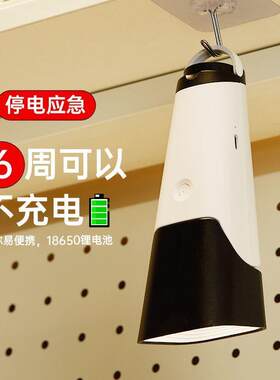 宿舍台灯学生护眼学习保护视力家用卧室阅读学生宿舍充电一