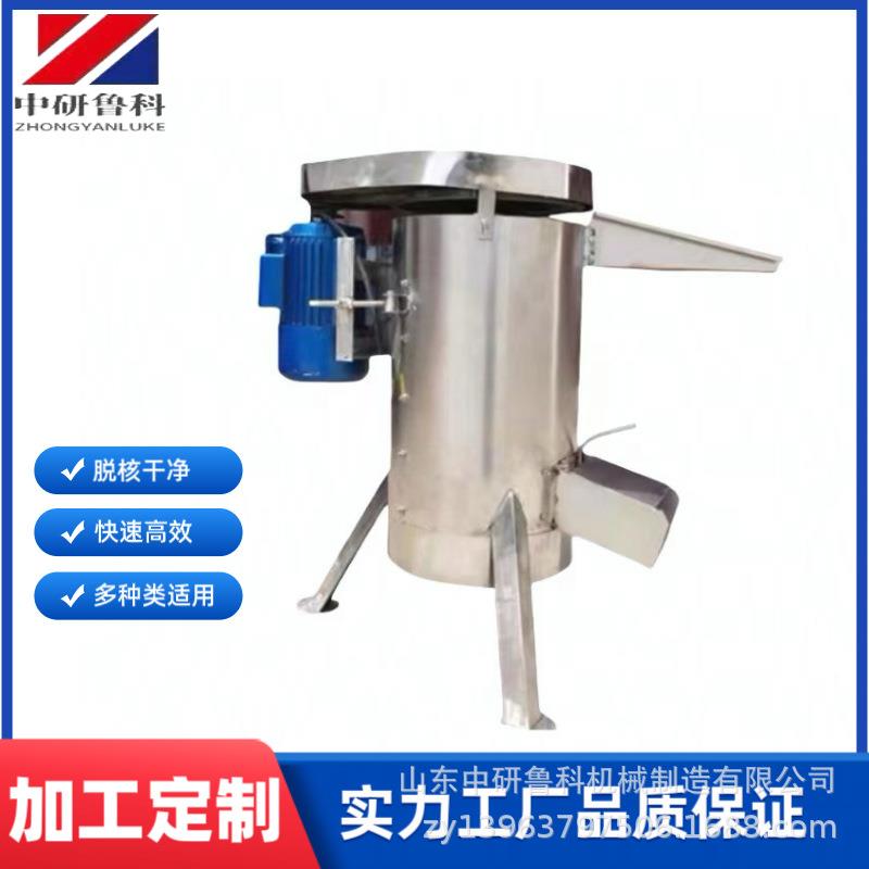 带核鲜果打泥脱核机西梅芒果樱桃去核打浆机工业型水果去核机