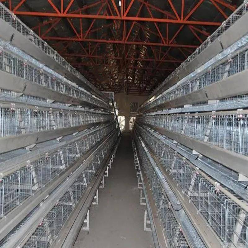养殖场鸡舍自动清洗机器人鸡笼智能清洗机猪场自动行走高压清洗