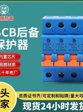 一级浪涌后备保护器HJHSCB-40前置开关4P40KA电涌分断器防雷SCB