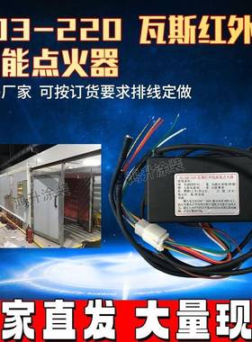 HS-103瓦斯点火器标准款红外线瓦斯点火器GX103-220液化炉配件