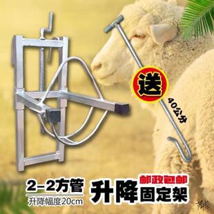 羊头架子挤奶架动物园防逃养殖场升降羊头控制架剪羊毛固定设备