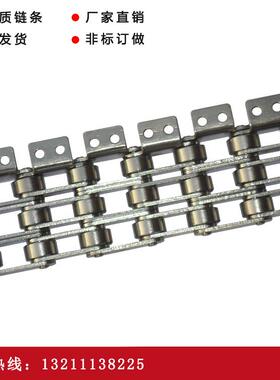 双节距非标链条C2062-3内外单侧双孔烘干设备滚子输送链条
