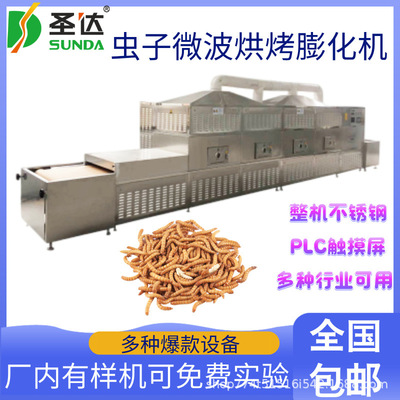 黑水虻微波烘干设备蛆虫干燥杀菌机自动化黄粉虫膨化机保留营养