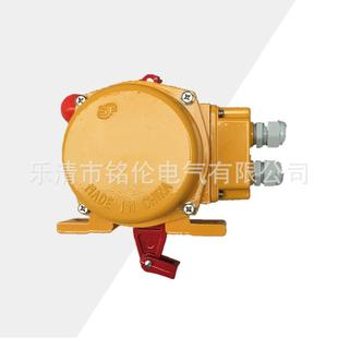 II手动型双向拉绳开关XYXL XLLS J带接线腔拉线开关XLLS