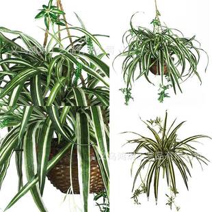 人造蜘蛛挂篮装饰丝绸植物假蜘蛛植物灌木露台办公室仿真绿植配件