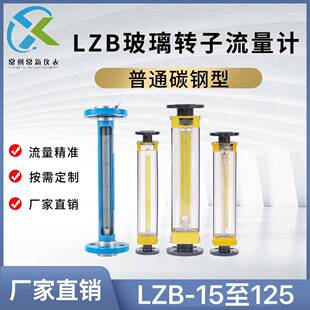 常州常新LZB-50玻璃转子流量计气体液体浮子流量计大流量