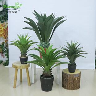 仿真黄冠兰盆栽欧式家居装饰假植物龙舌兰剑叶人造植物现货