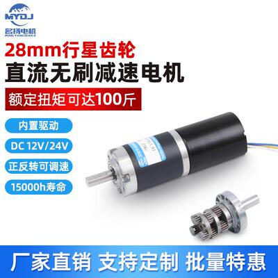 行星齿轮直流无刷减速电机12v24v微型28mm2838大扭力低调速小马达