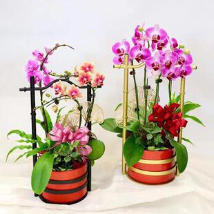 新中式冬青银柳蝴蝶兰年宵花插花盆铁艺轻奢花篮花器福盆福桶花桶
