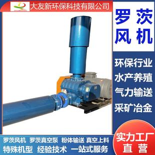 DN125型号罗茨鼓风机7.5kw11kw15kw18.5kw曝气物料输送高压风机