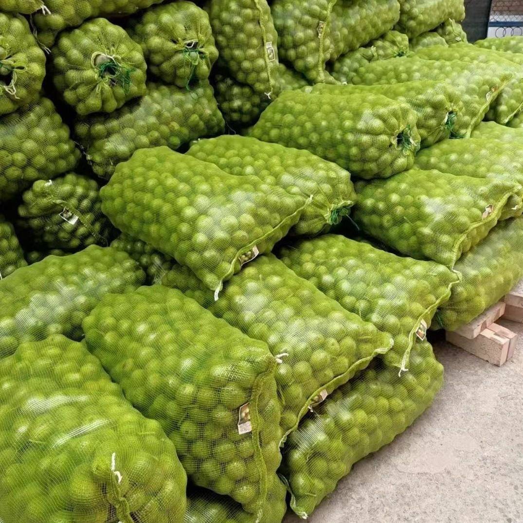 现货打包网眼袋蔬菜水果干果包装pp塑料家禽网袋可运输袋子