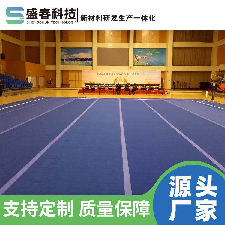 啦啦操训练比赛垫子健美操垫子16*16场馆垫子