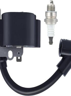 点火线圈高压包适用于BG55BG65BR45BG85BG45BG46