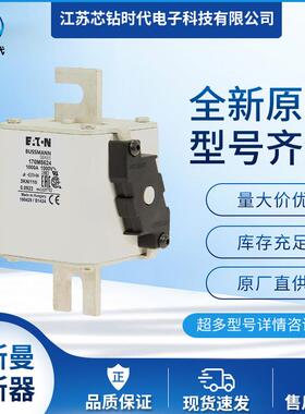 170M5969 170M5970 170M5971巴斯曼BUSSMANN熔断器保险丝