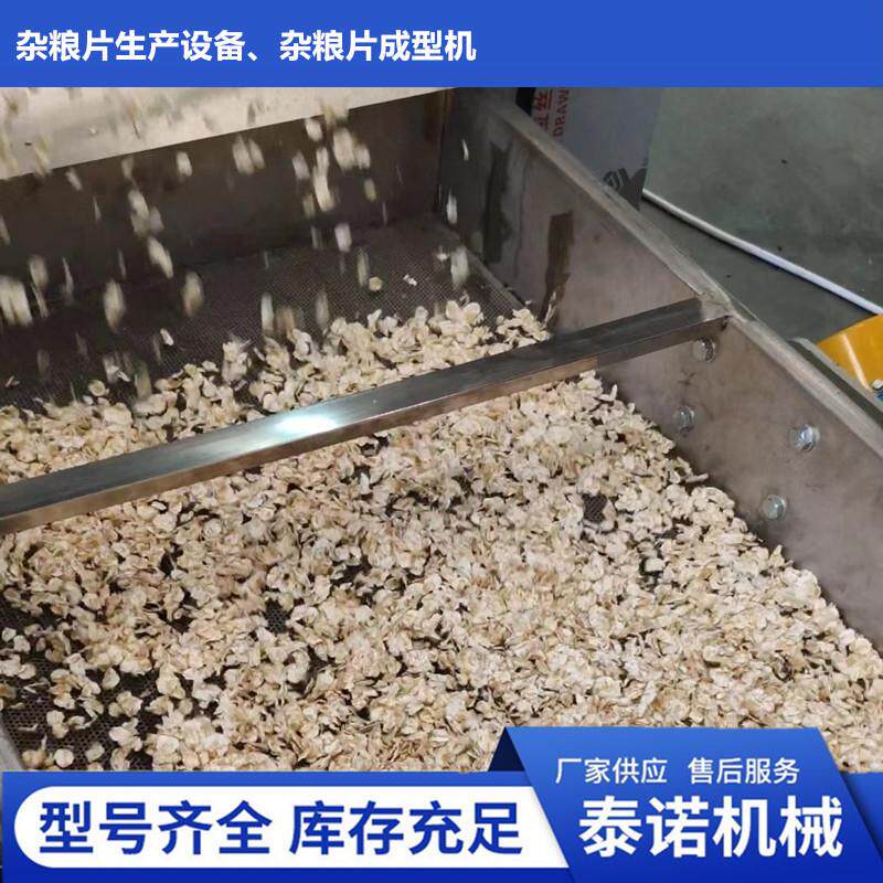 粮食杂粮挤扁机即食早餐豆片米片压片设备