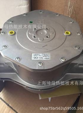 意大利Fiorentini过滤器滤芯F10607F1BADN65