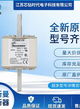 170M4311 170M4312 170M4313 巴斯曼BUSSMANN熔断器保险丝