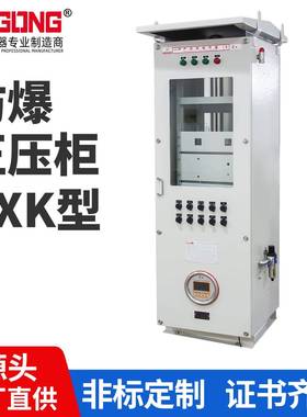 二工防爆正压柜PXK通风柜正压型防爆柜立式防爆正压柜防爆控制箱