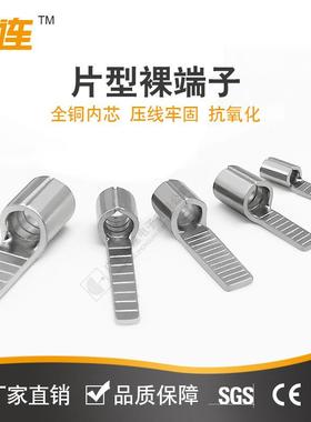 中连片型接线线鼻欧式鸭嘴铜鼻子DBN插片接线端子扁形裸端头现货