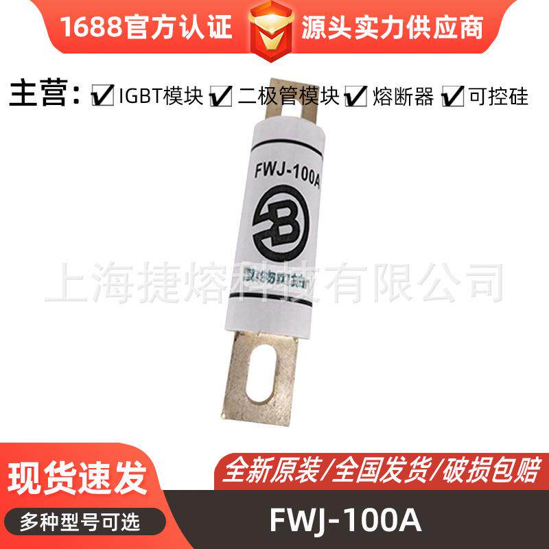 FWJ-100A圆柱形快速熔断器保险丝电子元器件量大价优