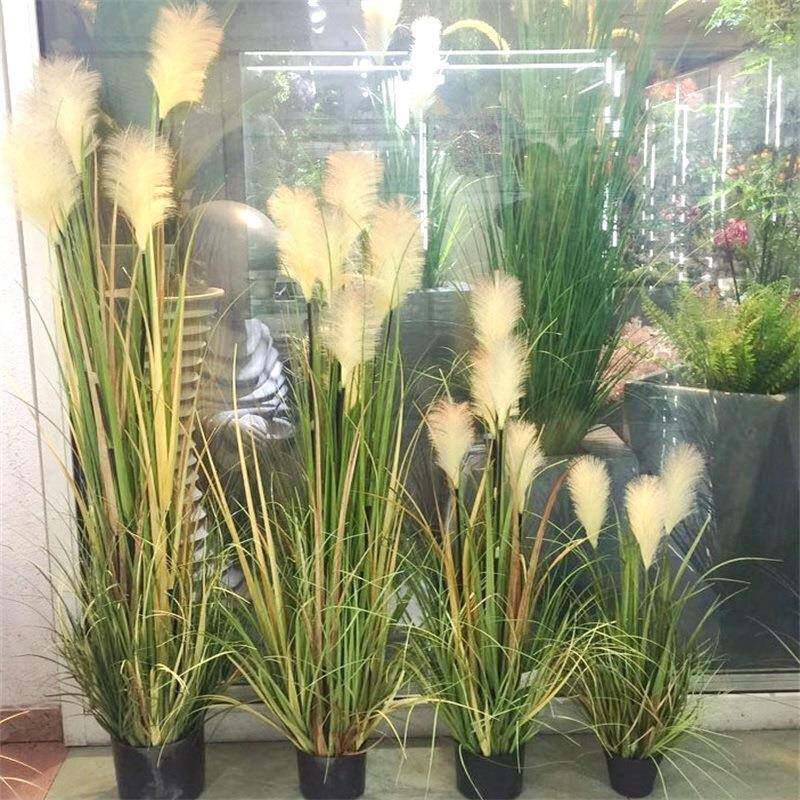 工厂店景观摆件盆栽洋葱草花艺植物酒店家居芦苇草盆装饰酒店