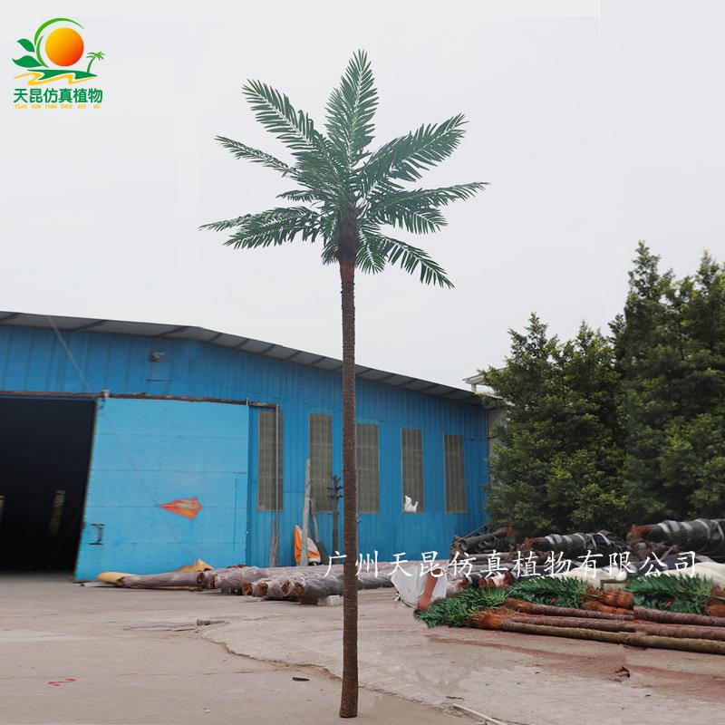 仿真椰子树真树杆椰子树实木椰子树室内假椰子树真杆大王椰