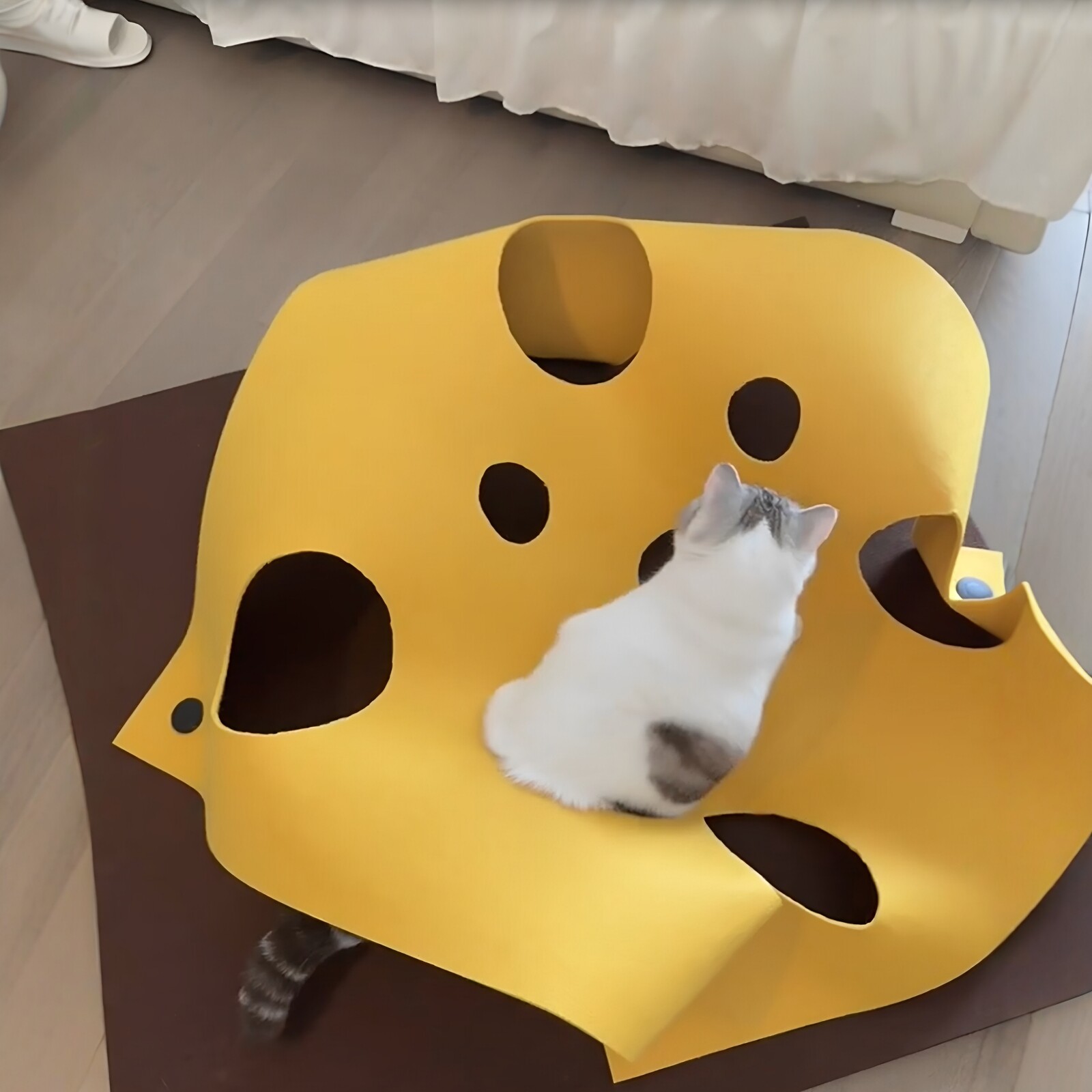 猫隧道无铁丝毛毡撕咬游戏地毯图片