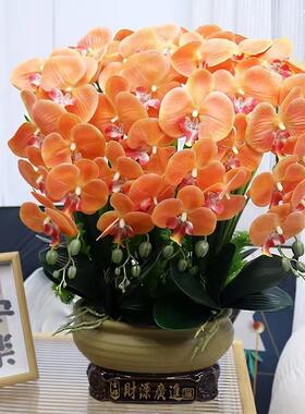 花大号手U感P蝴蝶兰客厅装特饰花视电柜玄LCO关假花店铺前台摆件