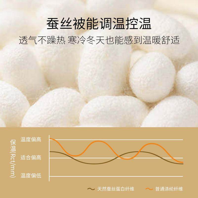 端优质一蚕丝被子母被手工1二合00桑蚕丝被芯蚕丝高被子传丝公主