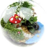 20181底平吊瓶套装 创意礼品礼造物苔藓微景观套装 景瓶材料包16tz